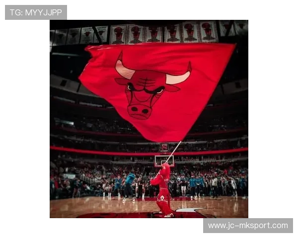 公牛外线定位球命中率攀升获赞